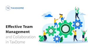 Effective Team Management and Collaboration in TaxDome